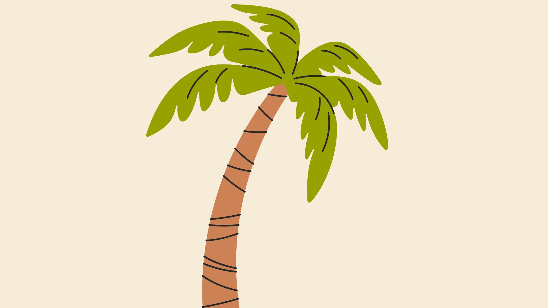 Palm Tree