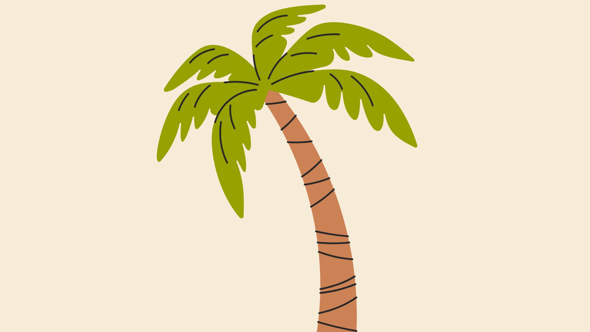 Palm Tree